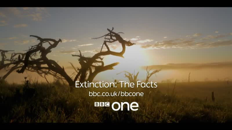 BBC - Extinction: The Facts (2020)