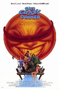 One Crazy Summer