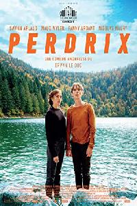 Perdrix